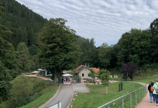 LandFrauen on Tour
