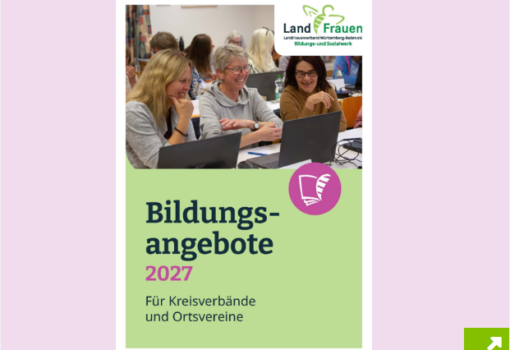 Bildungsprogramm 2027