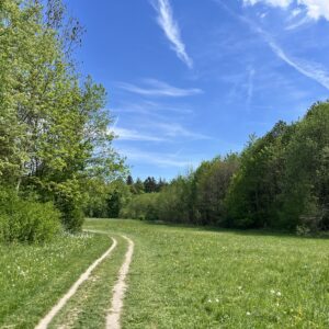 Sommerfrische