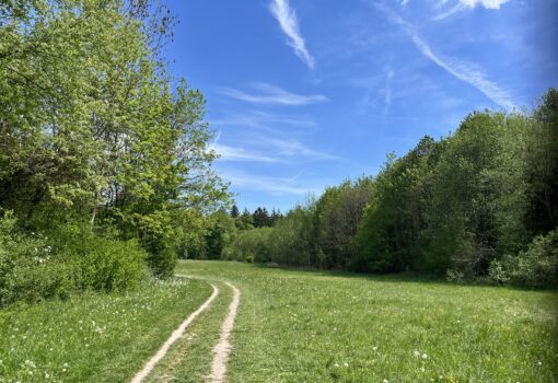 Sommerfrische