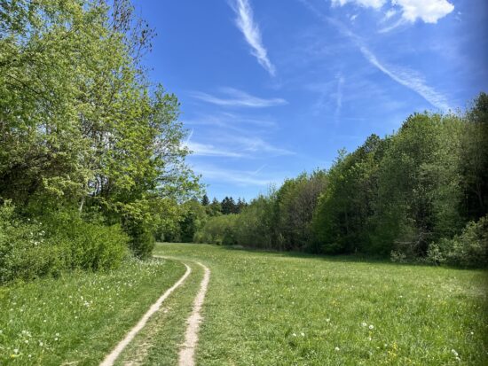 Sommerfrische