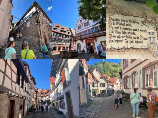 Weinheim-Kreisduett-MA-Enzkreis Kreisduettin Weinheim Kreisverband Mannheim - Enzkreis