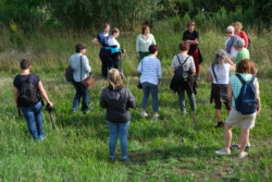 Gruppe der Wildkräuterwanderung