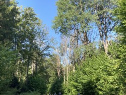 Eyachtal Natur Eyachtal Natur