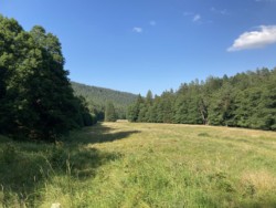 Natur Eyachtal Natur Eyachtal