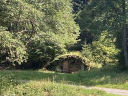 Lehmannshof Keller heute Fledermausquartier Lehmannshof Keller heute Fledermausquartier