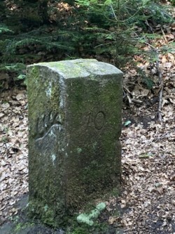 Stein entlang der Eyach Stein entlang der Eyach