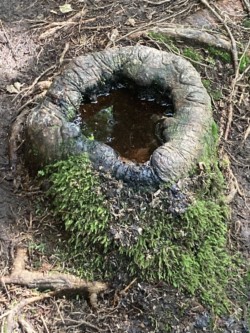 Natur an der Eyach Natur an der Eyach