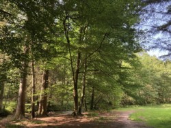 Weg entlang der Eyach Weg entlang der Eyach