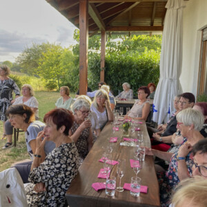 20230719 - 50 Jahre KreisLandFrauen Enzkreis @ Bild Böhmerle 20230719 - 50 Jahre KreisLandFrauen Enzkreis @ Bild Böhmerle
