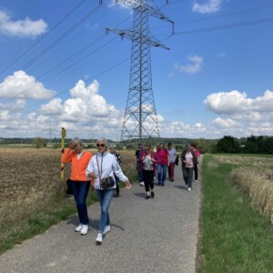Wanderung nach Wiernsheim Wanderung nach Wiernsheim